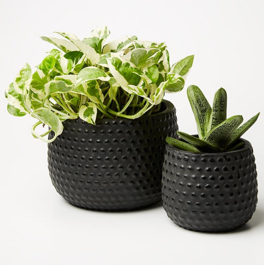 Product image of Hobnail Planter - Small (Multiple Colors)