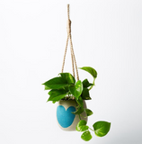 Hanging Heart Pot (Multiple Colours)