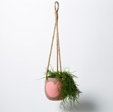 Hanging Heart Pot (Multiple Colours)