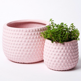 Hobnail Planter - Small (Multiple Colors)