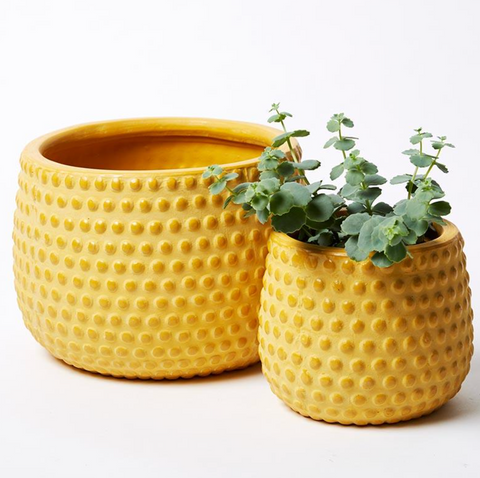 Hobnail Planter - Medium (Multiple Colors)