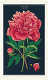 " Peony " Tea Towel