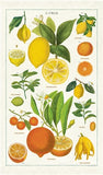 " Citrus " Tea Towel