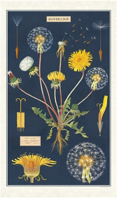 " Dandelion " Tea Towel