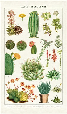 " Cacti & Succulents " Tea Towel