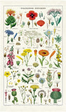 " Wildflowers " Tea Towel