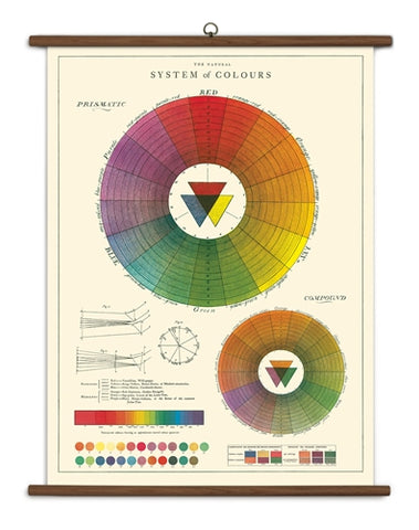 " Color Wheel " School Chart