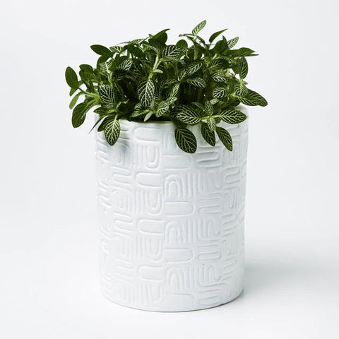 White Wiggles Planter