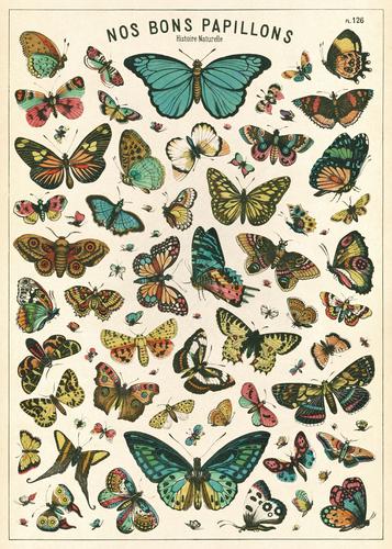 " Butterfly Chart " Poster
