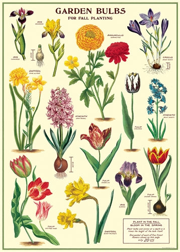 " Garden Bulbs " Poster