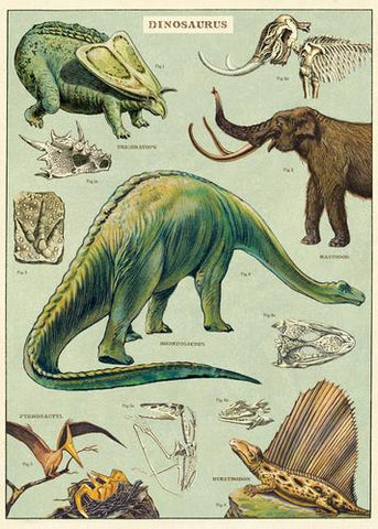 " Dinosaurs " Poster