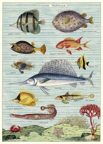 " Tropical Fish " Poster