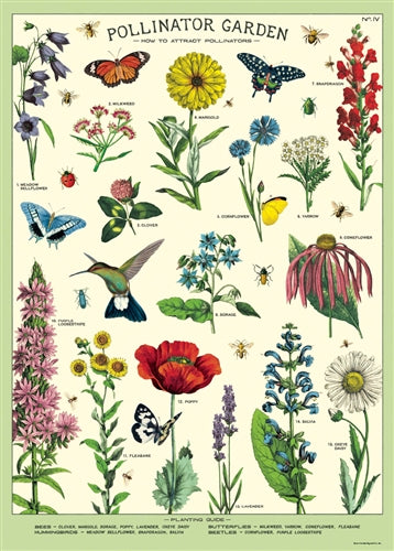 " Pollinator " Poster