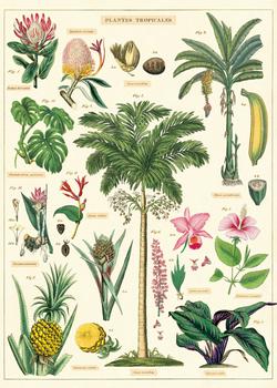 " Tropical Plant " Poster