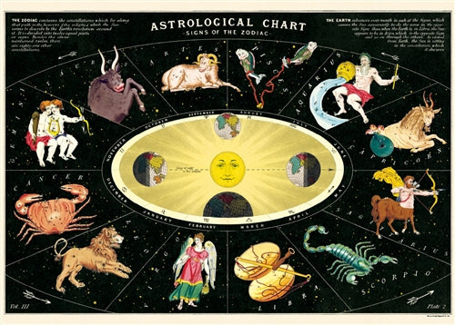 " Zodiac " Poster