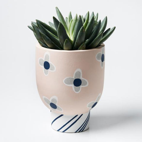 Pasedena Planter Pink