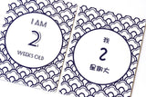 Bilingual Baby Milestone Cards