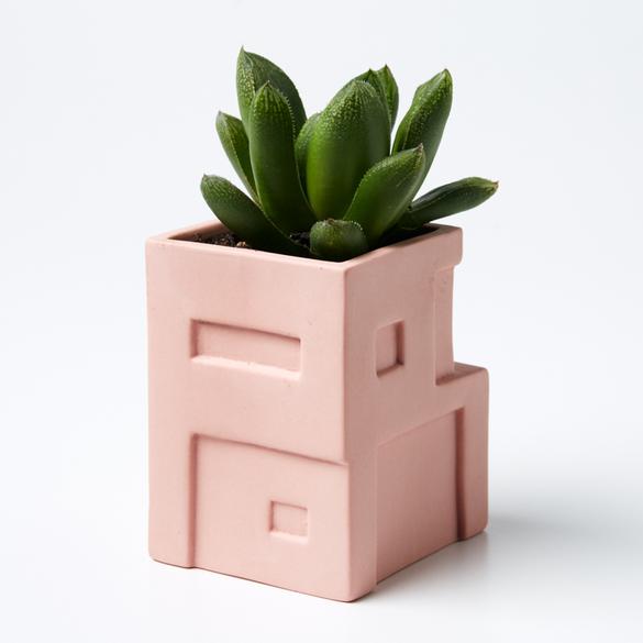 Casa House Planter (Multiple Styles)