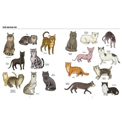 Product image of Big Cats, Little Cats : A Visual Guide to the World's Cats