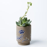Silt Galah Planter