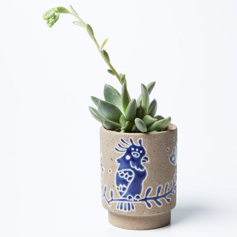Silt Galah Planter