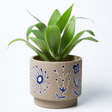 Silt Kangaroo Planter