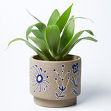 Silt Kangaroo Planter