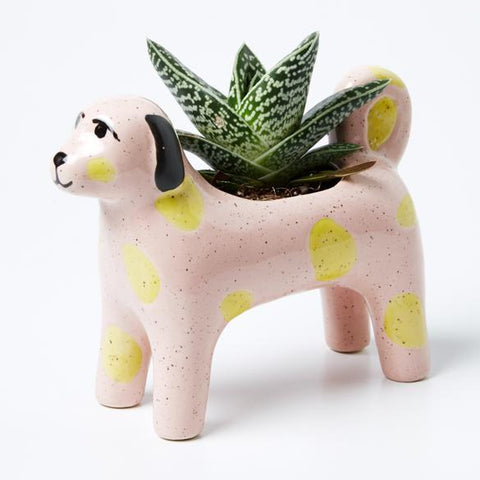 Morris Dog (Multiple Colors)