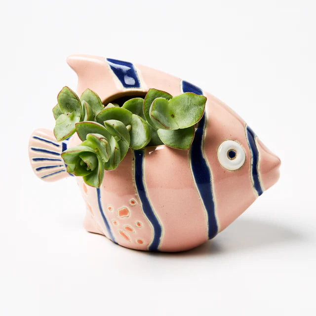 Dory Planter