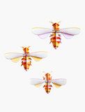 Insects (Set of 3) - Wall Decoration