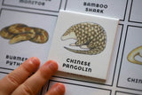 Hong Kong Wildlife Bingo Board Game