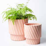 Moma Planter (Multiple Colors)