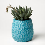 Ditsy Planter (Multiple Colors)