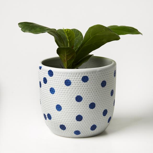 Product image of Spot Pot (Multiple Colors)