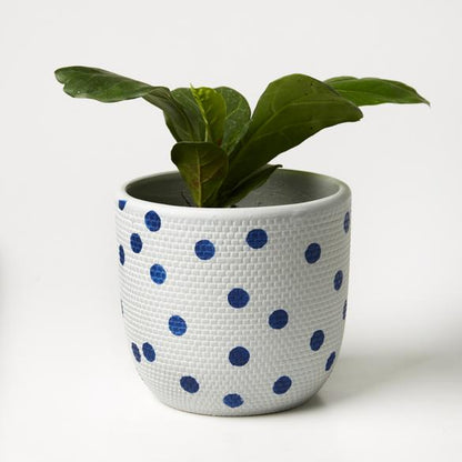 Product image of Spot Pot (Multiple Colors)