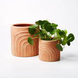 Rainbow Pot