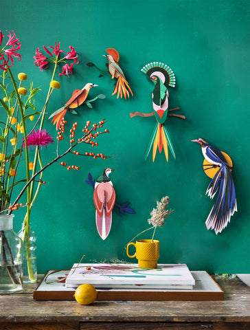 Paradise Bird Wall Decoration