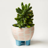 Paper Cut Planter Curve (Multiple Colors)