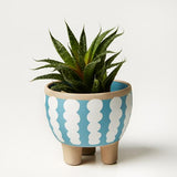 Paper Cut Planter Wiggle (Multiple Colors)