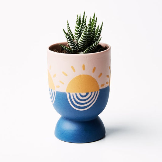 Product image of Setting Sun Planter