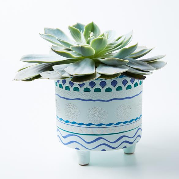 Wavy Pot Blue