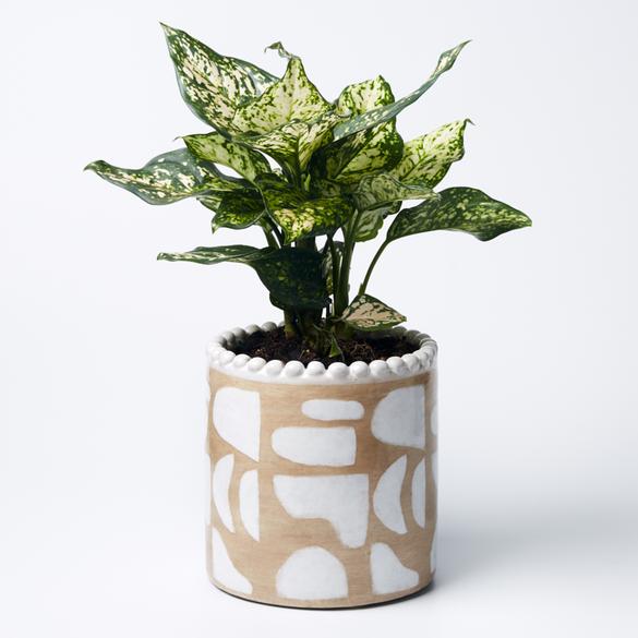 Papercut Planter - Beige