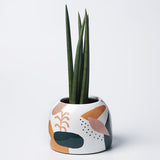 Picasso Garden Pot (Multiple Colors)